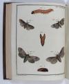 Engramelle, Jacques Louis Florentin, Papillons d’Europe, peints d’après nature (par Jean Jacques Ernst).