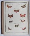 Engramelle, Jacques Louis Florentin, Papillons d’Europe, peints d’après nature (par Jean Jacques Ernst).