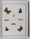 Engramelle, Jacques Louis Florentin, Papillons d’Europe, peints d’après nature (par Jean Jacques Ernst).