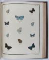Engramelle, Jacques Louis Florentin, Papillons d’Europe, peints d’après nature (par Jean Jacques Ernst).
