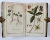 (Zorn, Johannes), Icones Plantarum Medicinalium. Abbildungen von Arzneygewächsen.
