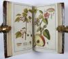 (Zorn, Johannes), Icones Plantarum Medicinalium. Abbildungen von Arzneygewächsen.