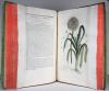 Regnault, Nicolas Francois, La Botanique mise à la portée de tout le monde ou collection des plantes d’usage dans la medecine, dans les alimens et dans les arts.