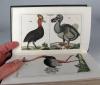 Wilhelm, Gottlieb Tobias, Unterhaltungen aus der Naturgeschichte.