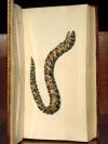 Shaw, G., und F.P. Nodder, The Naturalist’s Miscellany: or coloured figures on Natural Objects drawn and described immediatly from nature.
