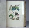 Merian, Maria Sibylla, Erucarum ortus, alimentum et paradoxa metamorphosis. In qua origo, pablum, transformatio, nec con tempus, locus et proprietates erucarum, vermium, papilionum, phalaenarum, muscarum, aiorumque hujusmodi exsanguium animalculorum exhibentur…