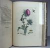 Merian, Maria Sibylla, Erucarum ortus, alimentum et paradoxa metamorphosis. In qua origo, pablum, transformatio, nec con tempus, locus et proprietates erucarum, vermium, papilionum, phalaenarum, muscarum, aiorumque hujusmodi exsanguium animalculorum exhibentur…