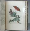 Merian, Maria Sibylla, Erucarum ortus, alimentum et paradoxa metamorphosis. In qua origo, pablum, transformatio, nec con tempus, locus et proprietates erucarum, vermium, papilionum, phalaenarum, muscarum, aiorumque hujusmodi exsanguium animalculorum exhibentur…