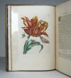 Merian, Maria Sibylla, Erucarum ortus, alimentum et paradoxa metamorphosis. In qua origo, pablum, transformatio, nec con tempus, locus et proprietates erucarum, vermium, papilionum, phalaenarum, muscarum, aiorumque hujusmodi exsanguium animalculorum exhibentur…