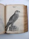 Davrieux, Louis, Abregée de L’Histoire Naturelle des Oiseaux. Avec les figures. Französische Handschrift auf Papier.