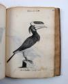 Davrieux, Louis, Abregée de L’Histoire Naturelle des Oiseaux. Avec les figures. Französische Handschrift auf Papier.
