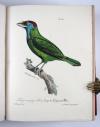 Vieillot, Louis Jean Pierre und Paul Louis Oudart, La Galerie des oiseaux, dédiée à son altesse royale Madame, Duchesse de Berri.