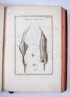 Tournefort, Joseph Pitton, Institutiones rei herbariae. Editio tertia, appendicibus aucta.