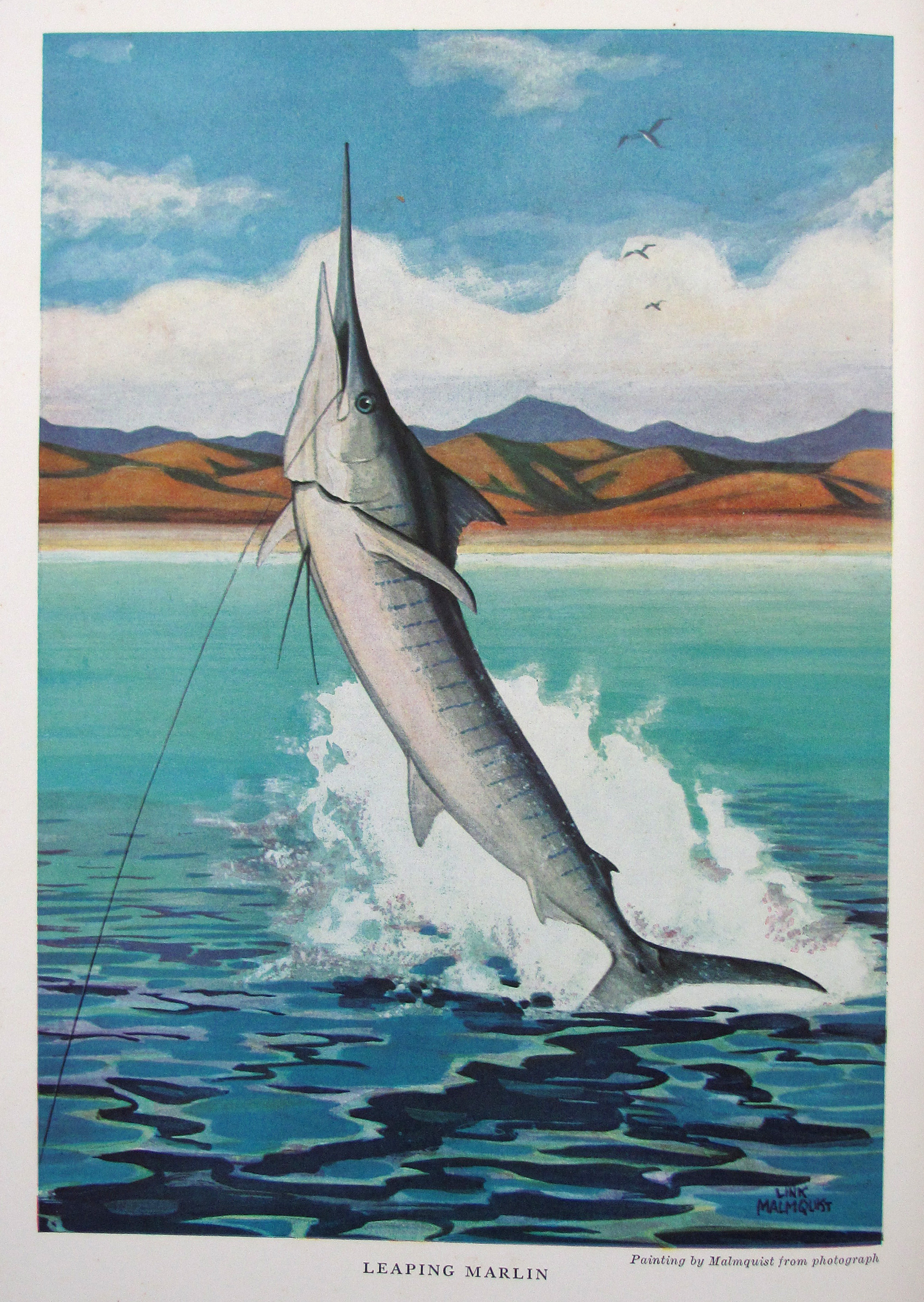 Walford, L.A., Marine Game Fishes of the Pacific Coast from Alaska to the Equator.