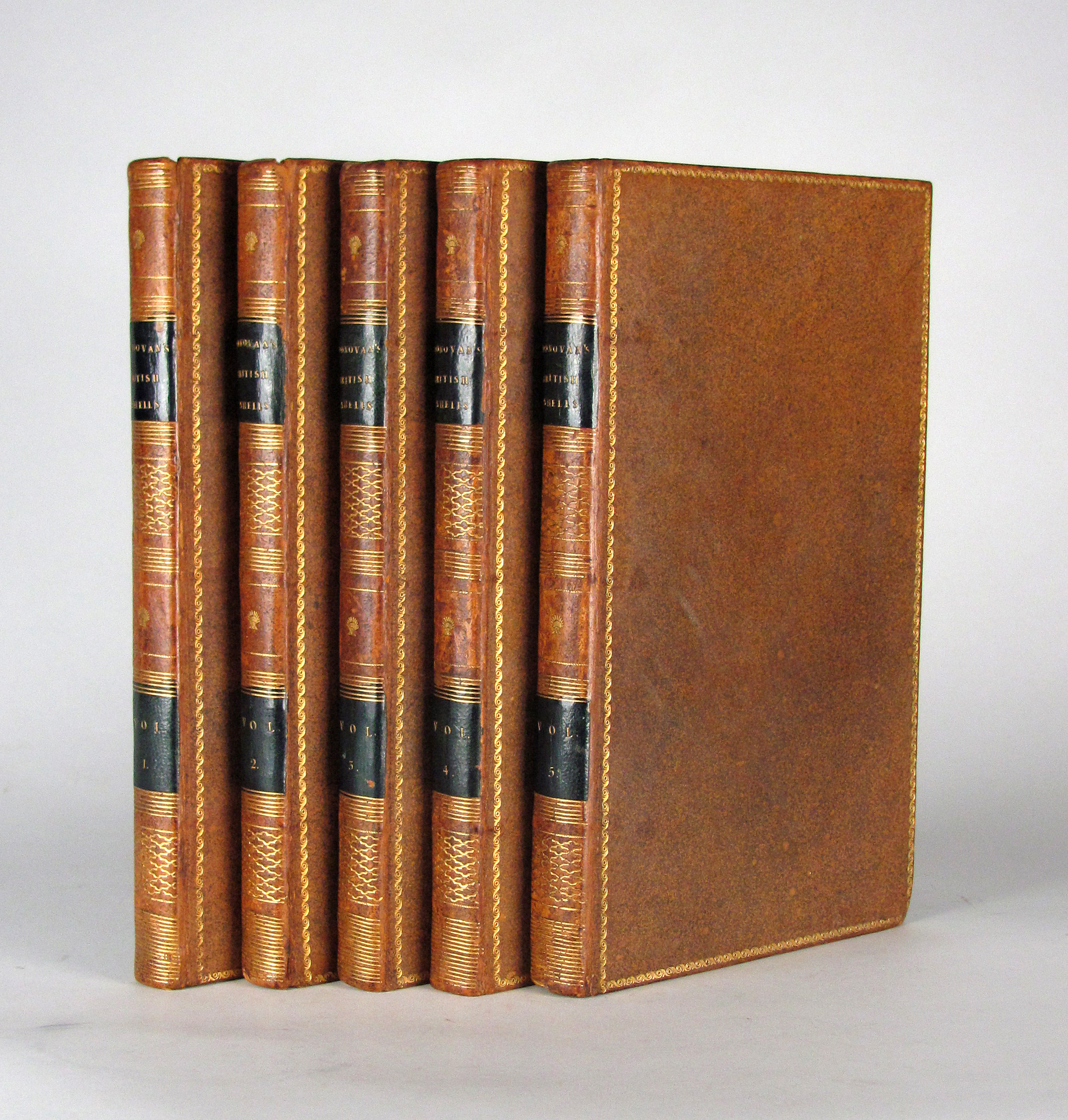 Donovan, Edward, The Natural History of British Shells, including figures and descriptions of all the species hitherto discovered in Great Britain, systematically arranged in the Linnean manner, with scientific and general observations on each.