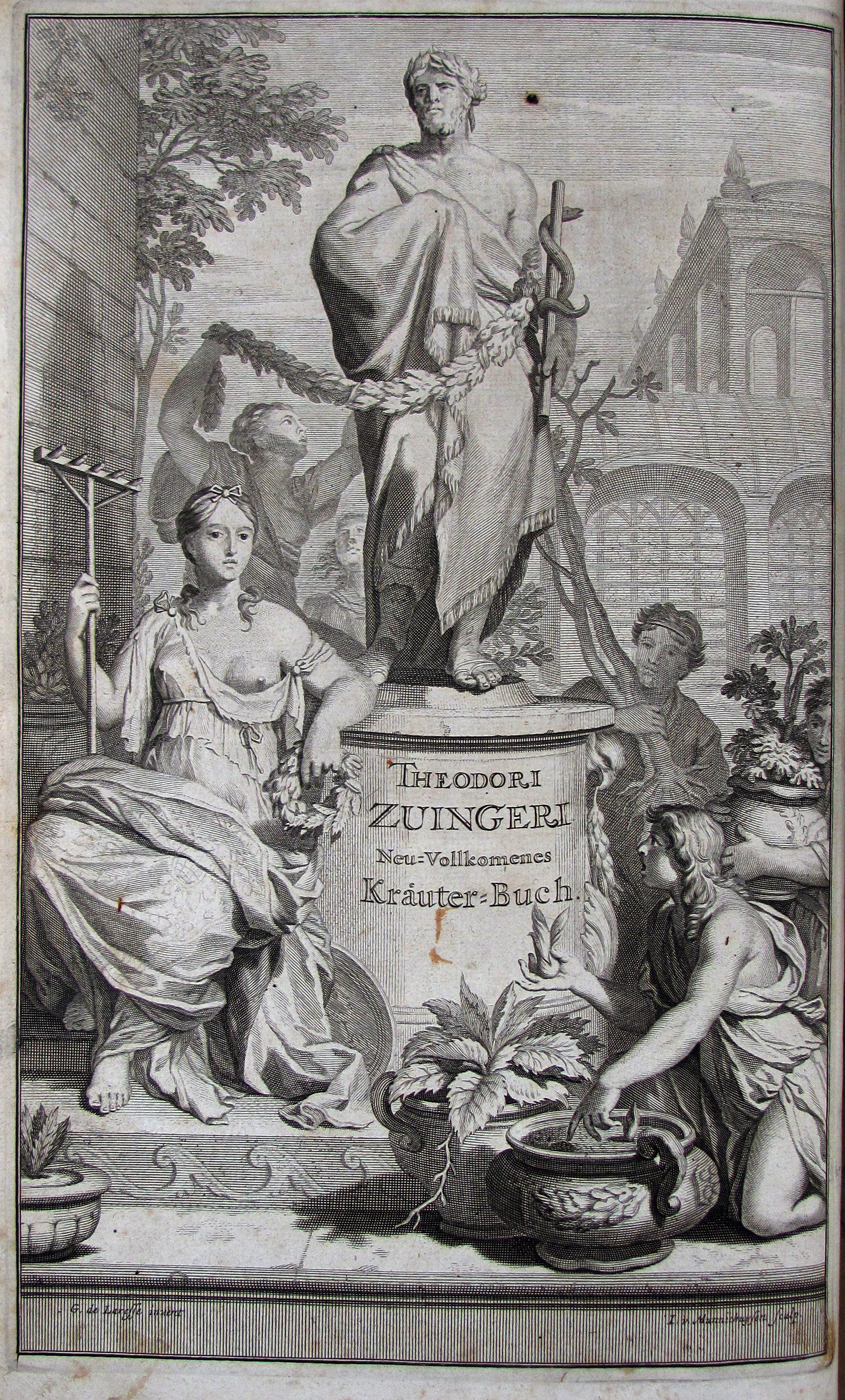 Zwinger, Theodor, Theatrum botanicum, Das ist: Neu vollkommenes Kräuter-Buch.