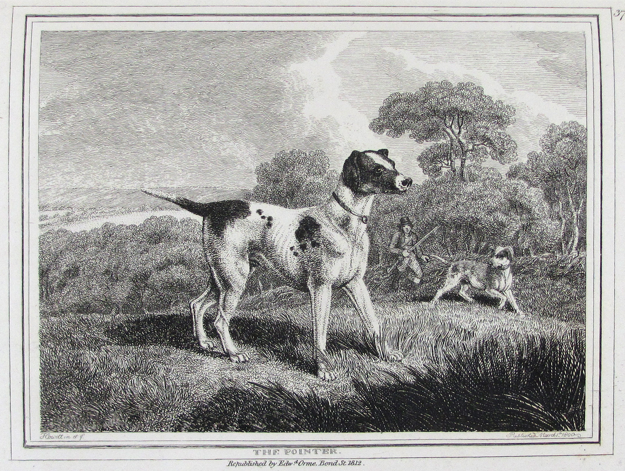 Howitt, Samuel, The British Sportsman.