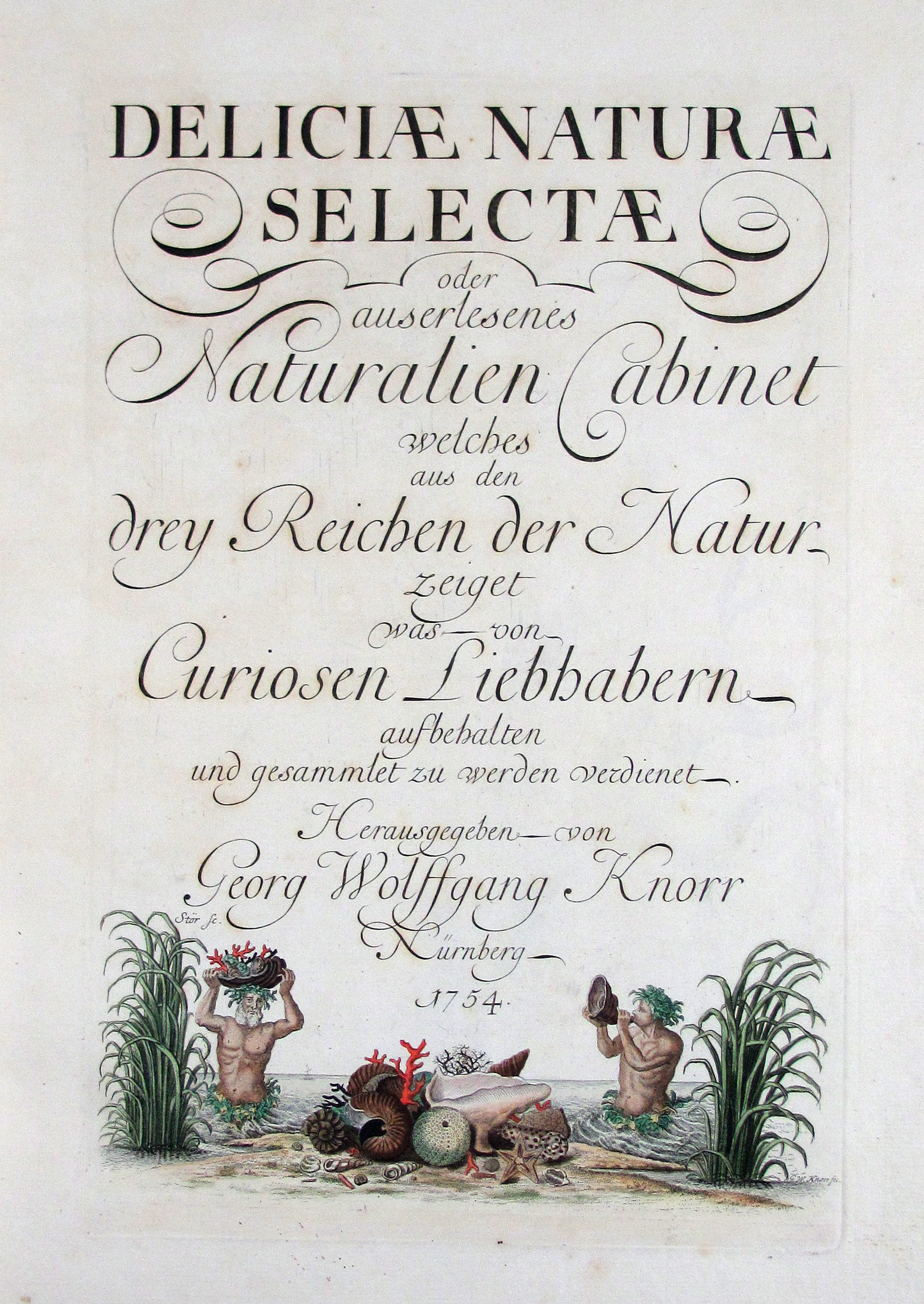 Knorr, Georg Wolfgang, Deliciae naturae selectae, oder auserlesenes Naturalien-Cabinet… Fragment des Tafelbands mit 39 Tafeln. Welches aus den drey Reichen der Natur zeiget, was von curiösen Liebhabern aufbehalten und gesammlet zu werden verdienet.