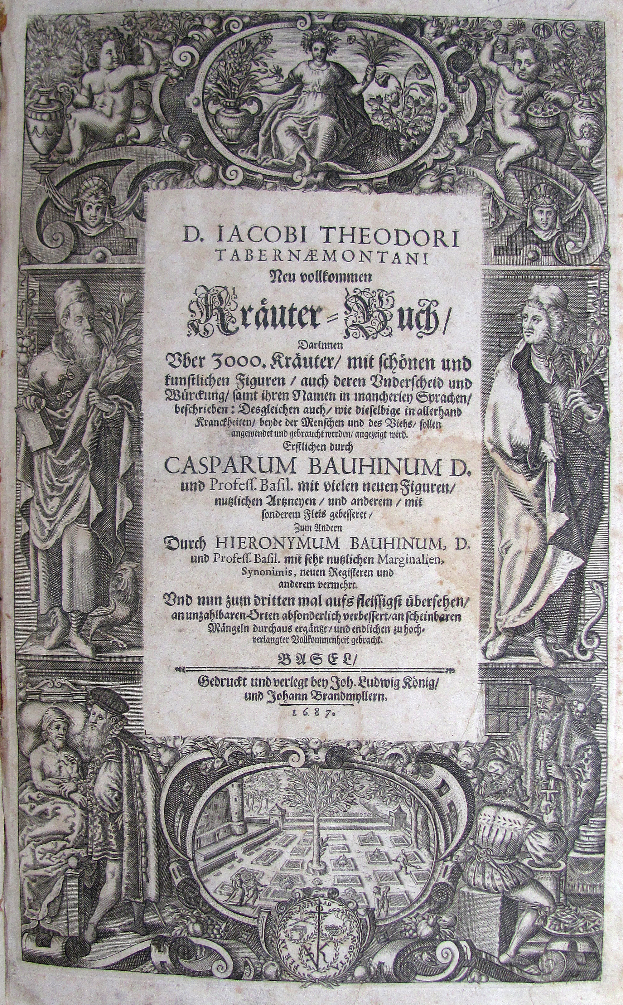Tabernaemontanus, Jacob Theodor, Neu vollkommen Kräuter-Buch, darinnen über 3000 Kräuter, mit schönen und künstlichen Figuren, auch deren Underscheid und Würckung, samt ihren Namen in mancherley Sprachen beschrieben. Erstlich durch C. Bauhinum mit vielen neuen Figuren…zum anderen durch H. Bauhinum…vermehret.