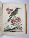 Edwards, George, A Natural History of uncommon Birds and some other rare and undescribed Animals, Quadrupeds, Reptiles, Fishes, Insects… FORTSETZUNG: Gleanings of Natural History containing figures of Quadrupeds, Birds, Insects, Plants…