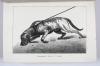 Horn, Otto, Handbuch des Hunde-Sport.