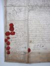 Anonymus Lehrbrief für den Koch Johann Heinrich Walcker.
