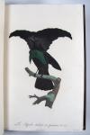 Levaillant, Francois, Histoire naturelle des Oiseaux du Paradis et des Rolliers, suivie de celle des Toucans et des Barbus.