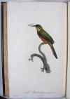 Levaillant, Francois, Histoire naturelle des Oiseaux du Paradis et des Rolliers, suivie de celle des Toucans et des Barbus.