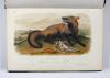 Audubon, John James und John Bachmann, The Quadrupeds of North America.