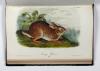 Audubon, John James und John Bachmann, The Quadrupeds of North America.