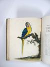 Hayes, Wiliam, Portraits of rare and curious birds, with their descriptions, from the Menagery of Osterly Park, in the Country of Middlesex.