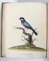 Hayes, Wiliam, Portraits of rare and curious birds, with their descriptions, from the Menagery of Osterly Park, in the Country of Middlesex.