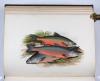 Houghton, William, British Fresh-Water Fishes.