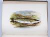 Houghton, William, British Fresh-Water Fishes.
