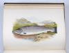 Houghton, William, British Fresh-Water Fishes.