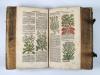 Zwinger, Th., Theatrum botanicum, Das ist: Neu vollkommenes Kräuter-Buch.