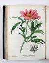 Roques, Joseph, Phytographie médicale, ornée des figures coloriées de grandeur naturelle, ou l’on expose l’histoire des poisons tirés du règne végétal, et les moyens de remédier a leurs effets délétères, avec des observations sur les propriétés et les usages des plantes héroiques.