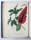 Roques, Joseph, Phytographie médicale, ornée des figures coloriées de grandeur naturelle, ou l’on expose l’histoire des poisons tirés du règne végétal, et les moyens de remédier a leurs effets délétères, avec des observations sur les propriétés et les usages des plantes héroiques.