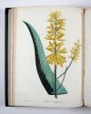 Roques, Joseph, Phytographie médicale, ornée des figures coloriées de grandeur naturelle, ou l’on expose l’histoire des poisons tirés du règne végétal, et les moyens de remédier a leurs effets délétères, avec des observations sur les propriétés et les usages des plantes héroiques.