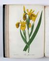 Roques, Joseph, Phytographie médicale, ornée des figures coloriées de grandeur naturelle, ou l’on expose l’histoire des poisons tirés du règne végétal, et les moyens de remédier a leurs effets délétères, avec des observations sur les propriétés et les usages des plantes héroiques.