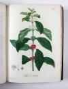 Roques, Joseph, Phytographie médicale, ornée des figures coloriées de grandeur naturelle, ou l’on expose l’histoire des poisons tirés du règne végétal, et les moyens de remédier a leurs effets délétères, avec des observations sur les propriétés et les usages des plantes héroiques.