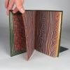 Verlaine, Paul, Parallèlement. Édition accompagnée de documents inédits.