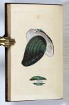 Donovan, Edward, The Natural History of British Shells, including figures and descriptions of all the species hitherto discovered in Great Britain, systematically arranged in the Linnean manner, with scientific and general observations on each.