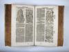Zwinger, Theodor, Theatrum botanicum, Das ist: Neu vollkommenes Kräuter-Buch.