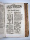 Zwinger, Theodor, Theatrum botanicum, Das ist: Neu vollkommenes Kräuter-Buch.