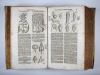 Zwinger, Theodor, Theatrum botanicum, Das ist: Neu vollkommenes Kräuter-Buch.
