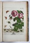 Harris, Moses, (The Aurelian: or, natural history of English Insects.) Le Aurelien: ou, Histoire naturelle des Insects Anglois; mommement, les phalenes et papillons, avec les plantes sur lesquelles ils se nourrissent.