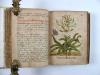 Anonym Lustgärtlein. Schöne Bereitung der vegetabilischen Essentien. Deutsche Handschrift auf Papier.