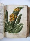 Anonym Lustgärtlein. Schöne Bereitung der vegetabilischen Essentien. Deutsche Handschrift auf Papier.