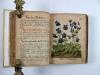 Anonym Lustgärtlein. Schöne Bereitung der vegetabilischen Essentien. Deutsche Handschrift auf Papier.